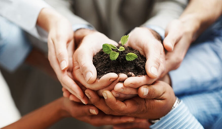 CRDSA Mission Statement