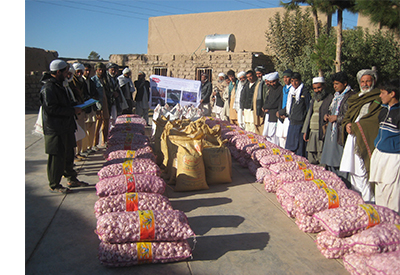 Farmers to Learn Standard Methods of Plants Cultivation